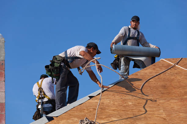 Best New Roof Installation  in Jefferson, WI